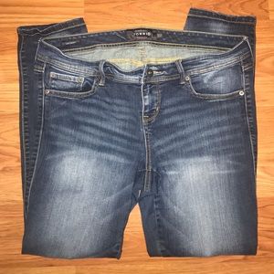 Torrid Premium Jeans
